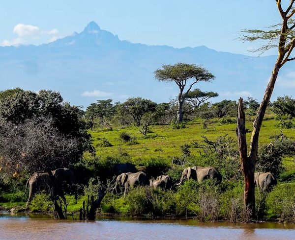 kenya