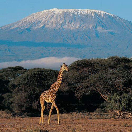 Nairobi – Masai Mara – Naivasha – Chale Island